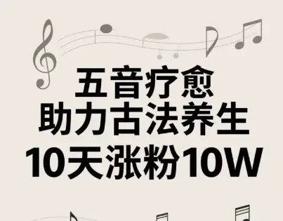 古法五音养生教程,五音疗愈的视频的制作方法,2-4小时就能学会,作者10天涨粉10W-创业猫 古法五音养生教程,五音疗愈的视频的制作方法,2-4小时就能学会,作者10天涨粉10W