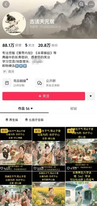 古法五音养生教程,五音疗愈的视频的制作方法,2-4小时就能学会,作者10天涨粉10W-创业猫 古法五音养生教程,五音疗愈的视频的制作方法,2-4小时就能学会,作者10天涨粉10W