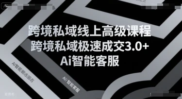 【精】跨境私域线上高级课程，跨境私域极速成交3.0+Ai智能客服
