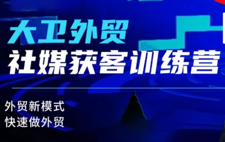 【精】大卫老师·外贸社媒获客独家训练营(更新2月)
